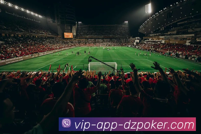 德州扑克APP平台生态图